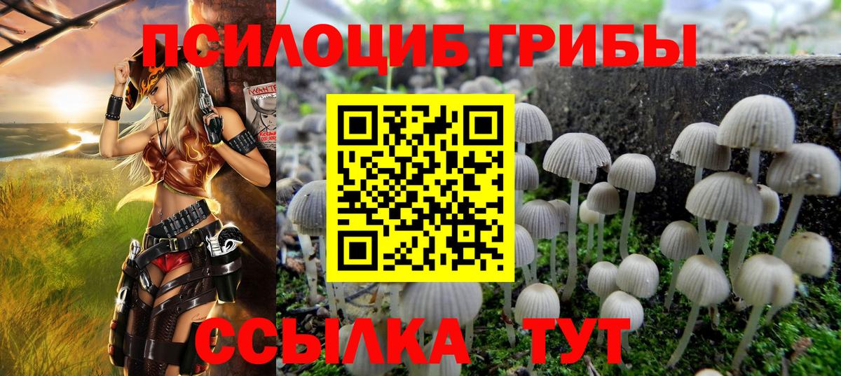 Галлюциногенные грибы мицелий Карпинск