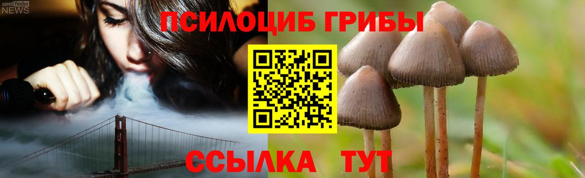 Псилоцибиновые грибы прущие грибы  Вход с VPN  Карпинск 